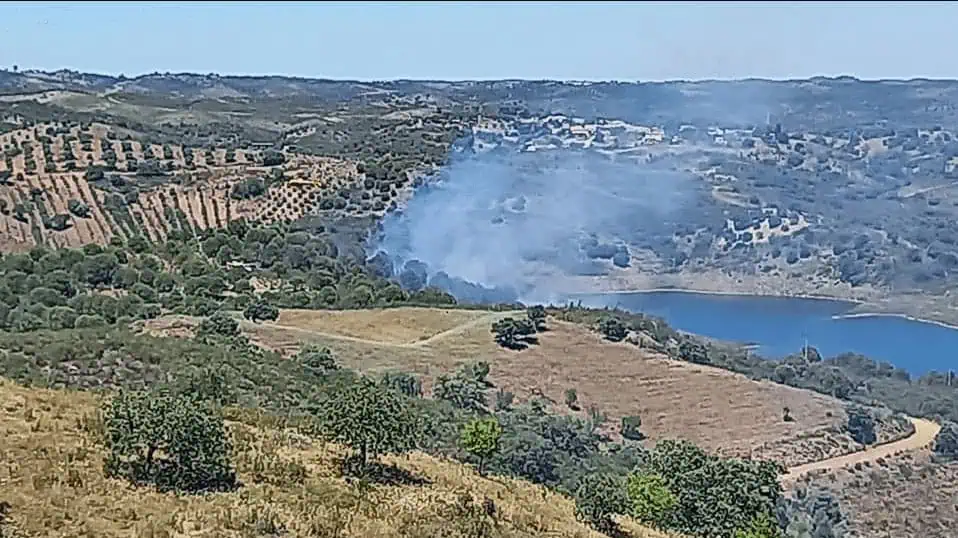 Incêndio junto à Ribeira do Beliche