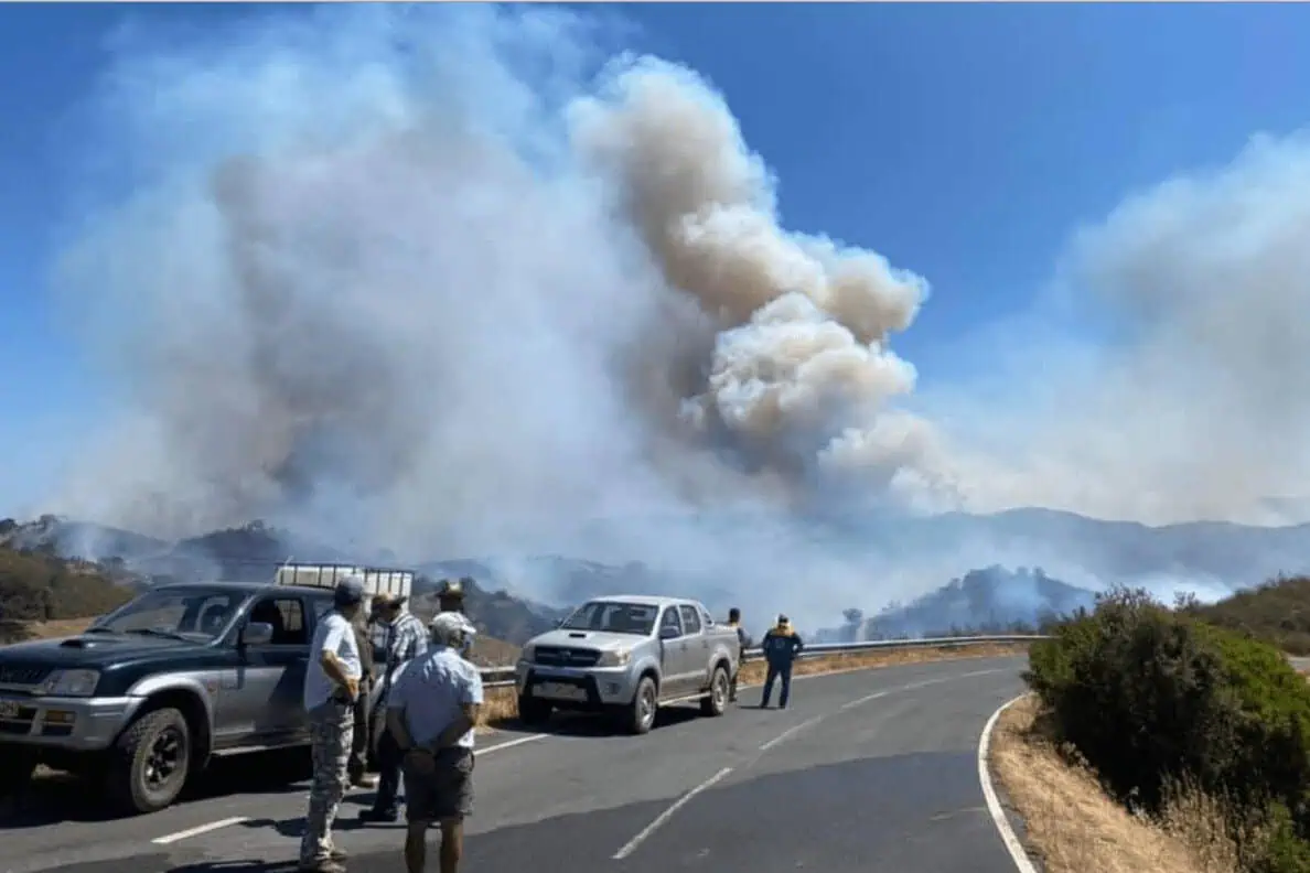 Incêndio rural