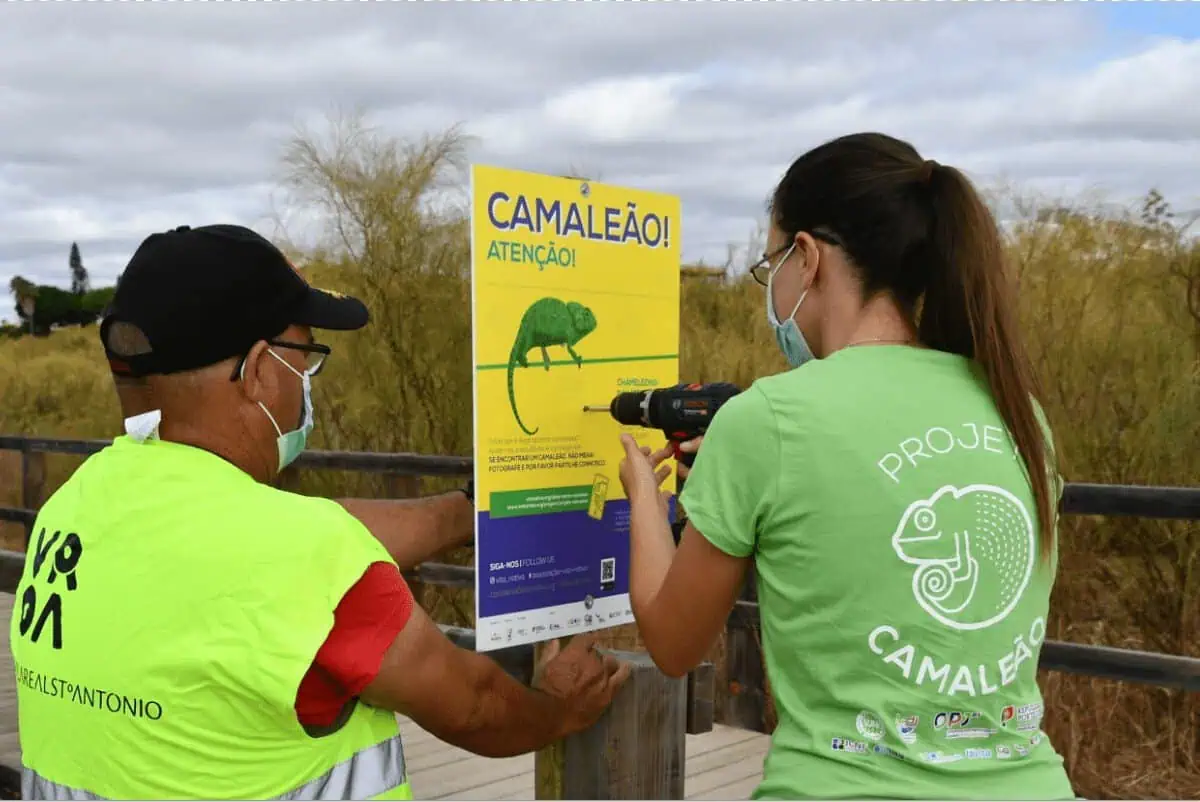 Defesa do Camaleão