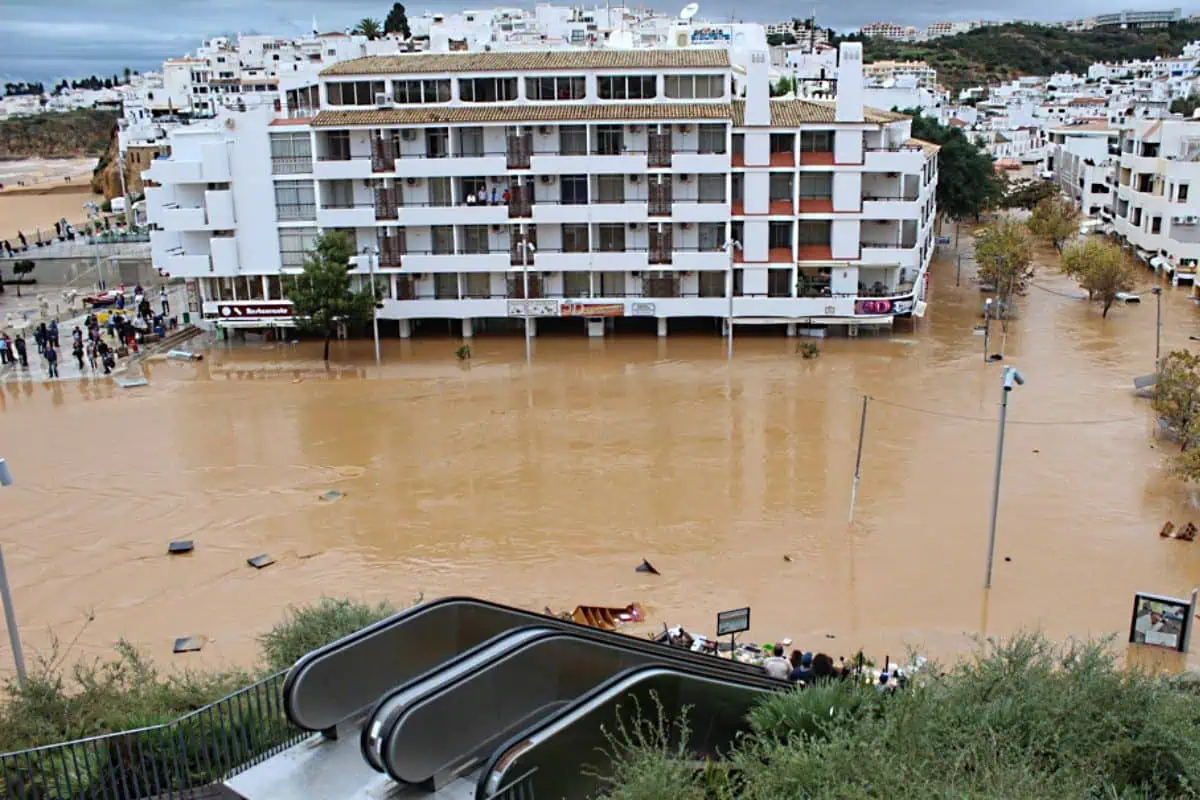 Resiliente às catástrofes