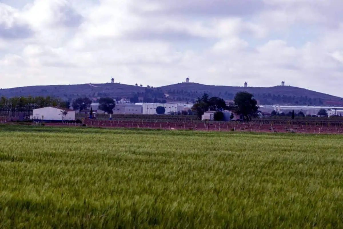 Campos de Calatrava