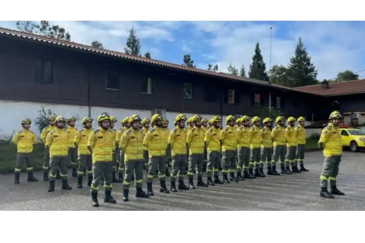 Sapadores bombeiros florestais