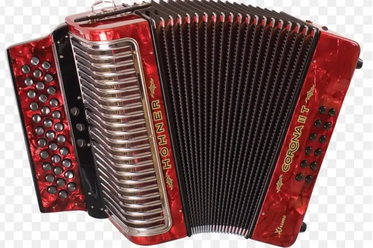 20220629 02 acordeon