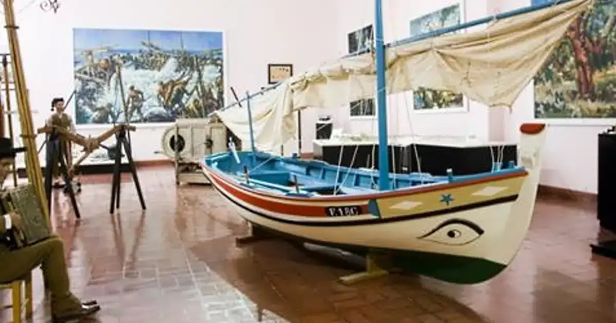 museu regional 60 anos