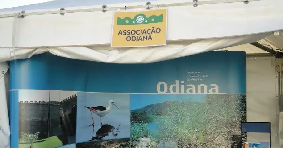 Stand da Associação Odiana em evento.