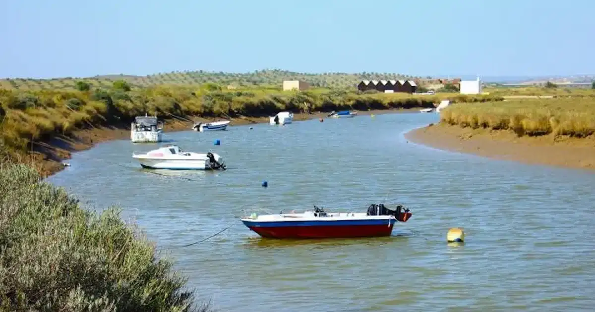 Barcos ancorados em rio tranquilo com vegetação verdejante.