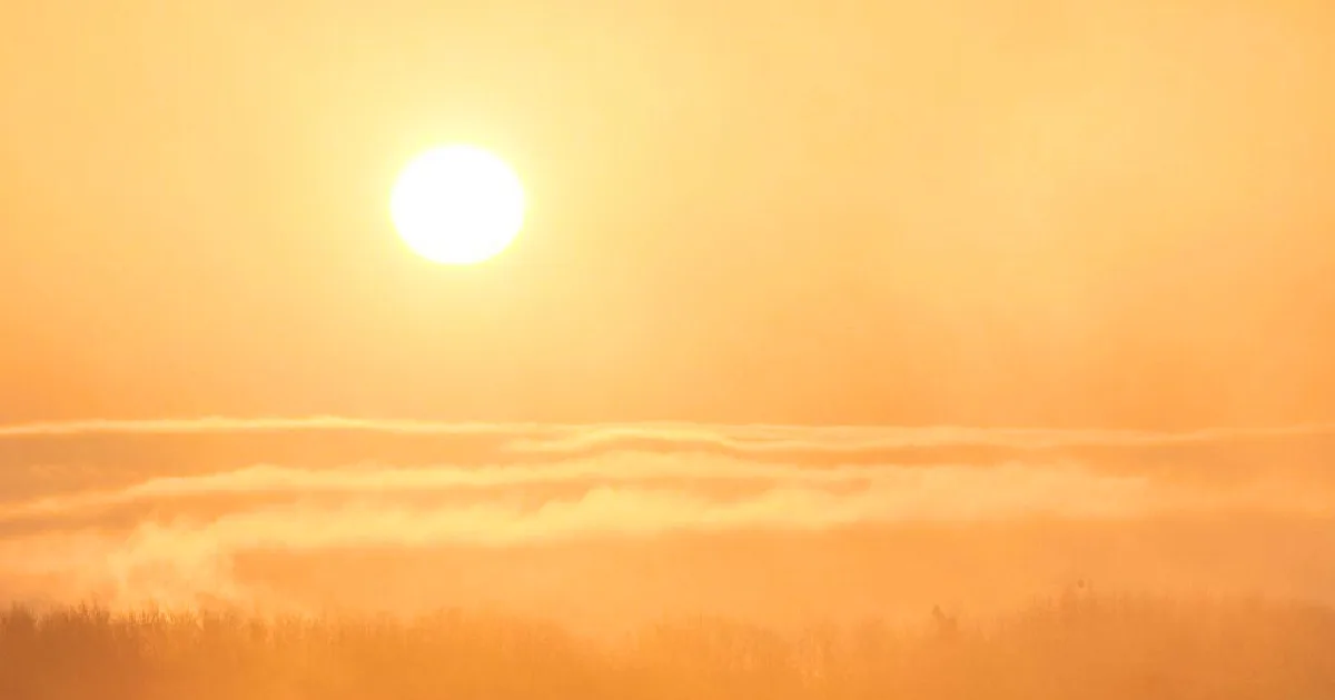 Sol brilhante sobre neblina matinal dourada.