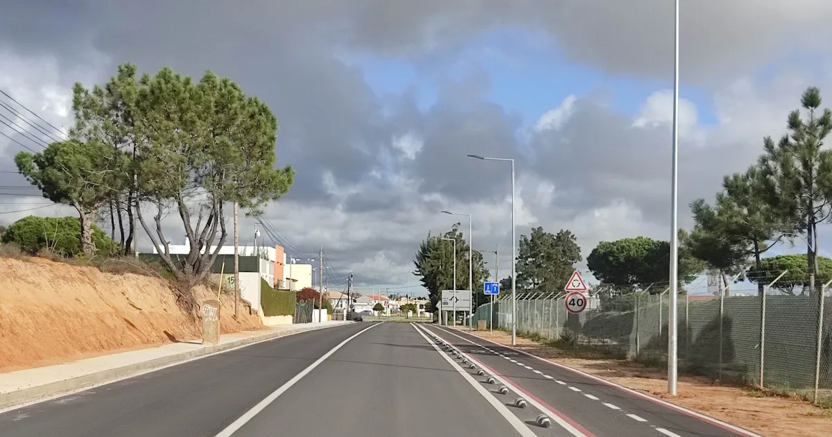 Estrada vazia com pinheiros e sinal de trânsito.