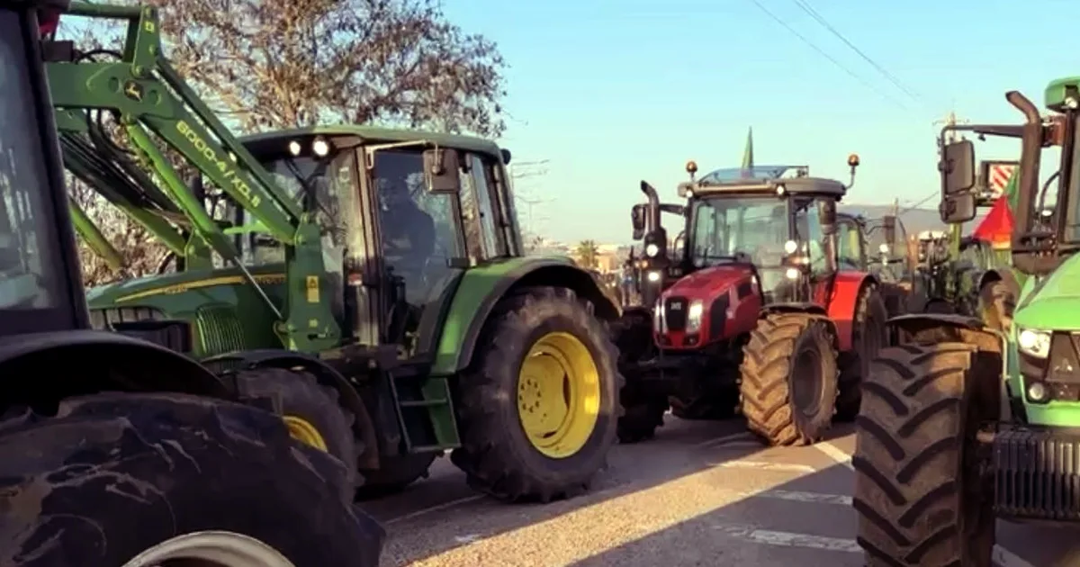 Tratores alinhados em estrada rural.