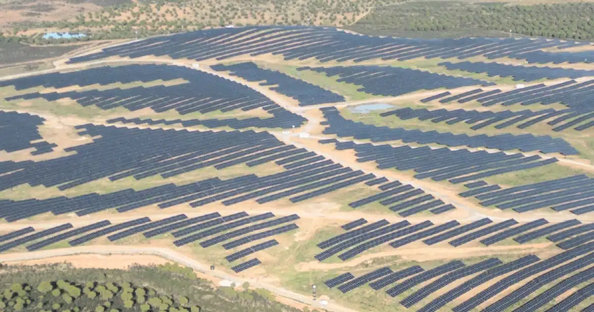 Parque solar vasto visto de cima, energia renovável.