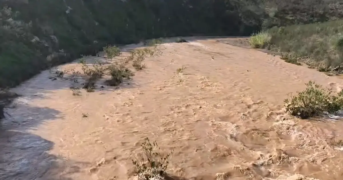 Água a correr - Ribeira do Beliche - Lena Valério